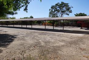 Foto de inmueble en , Col. Lo de Villa C.P. 28620, Colima