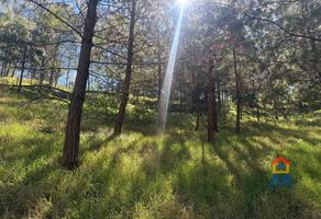 Foto de inmueble en , Col. Loma de Tablas C.P. 91335, Las Vigas de Ramírez