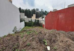 Foto de inmueble en  , Col. Lomas Hipódromo C.P. 53900, Naucalpan de Juárez