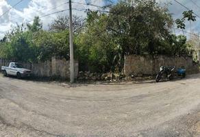 Foto de inmueble en  , Col. Los Aguacates C.P. 97702, Tizimín