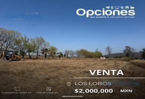 Foto de inmueble en  , Col. Los Lobos C.P. 36880, Salamanca