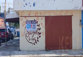 Foto de inmueble en , Col. Los Mangos C.P. 89440, Ciudad Madero