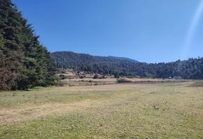 Foto de inmueble en , Col. Los Saúcos C.P. 51200, Valle de Bravo