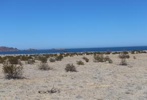Foto de inmueble en Lote 8, Col. San Luis C.P. 22842, Ensenada