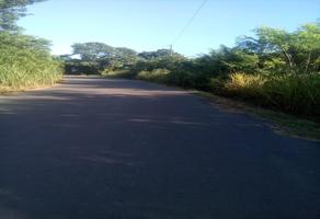 Foto de inmueble en Lote 8 S/N Carretera a las Lomas de Tacamichapan, Jaltipan de Morelos camino a la Cienega., Col. Jaltipan de Morelos Centro C.P. 96200, Jáltipan