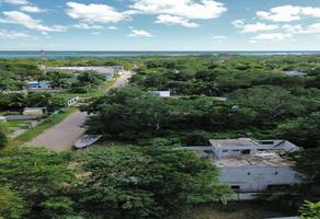 Foto de inmueble en  , Col. Luis Donaldo Colosio C.P. 77935, Bacalar