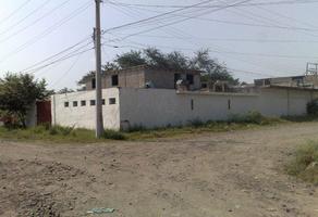 Foto de inmueble en Magnolia, Col. Anáhuac C.P. 92035, Pueblo Viejo