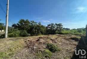 Foto de inmueble en Mangos #79, Col. Alpuyeca C.P. 62790, Xochitepec