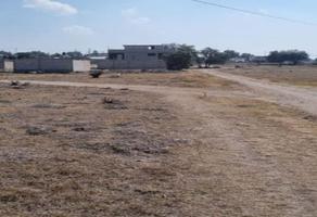 Foto de inmueble en Manuel Cloutier, Col. San Miguel Atlamajac C.P. 55998, Temascalapa