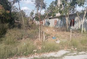Foto de inmueble en Manuel Gonzalez, Col. Villa Gonzalez Centro C.P. 89710, González