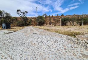 Foto de inmueble en manzano, Col. Villa Hidalgo Centro C.P. 47250, Villa Hidalgo