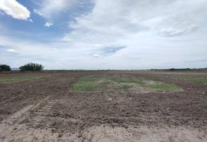 Foto de inmueble en MATAMOROS, Col. Seis de Enero C.P. 88808, Río Bravo
