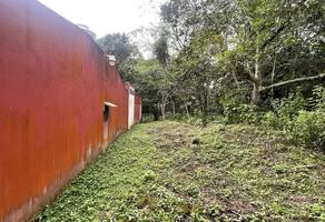 Foto de inmueble en Miguel Altamirano #22, Col. Orquídeas C.P. 91576, Coatepec