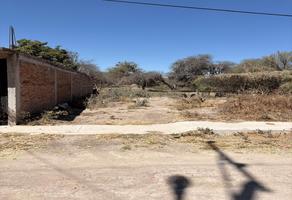 Foto de inmueble en  , Col. Miguel Hidalgo C.P. 37713, San Miguel de Allende