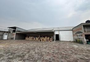 Foto de inmueble en  , Col. Miguel Hidalgo C.P. 13200, Tláhuac