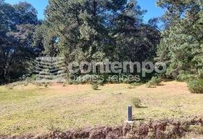 Foto de inmueble en  _ , Col. Miraflores C.P. 54490, Isidro Fabela