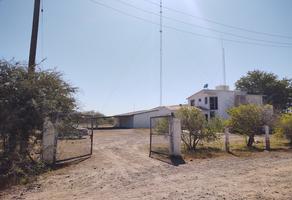 Foto de inmueble en  , Col. Nueva C.P. 85966, Huatabampo