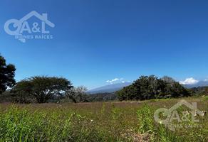 Foto de inmueble en Terreno en Venta  Fraccionamiento Nuevo Coapexpan, Col. Nuevo Coapexpan C.P. 91073, Xalapa