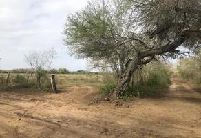 Foto de inmueble en  , Col. Nuevo Lomas Del Real C.P. 89606, Altamira