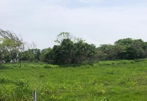 Foto de inmueble en  , Col. Ojital C.P. 92034, Pueblo Viejo