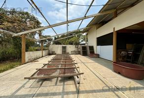 Foto de inmueble en  , Col. Pacho Viejo C.P. 91602, Coatepec