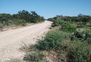 Foto de inmueble en  , Col. Padilla C.P. 87780, Padilla