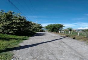 Foto de inmueble en palmira, Col. La Unión C.P. 62037, Cuernavaca