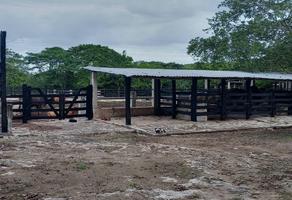 Foto de inmueble en  , Col. Panaba C.P. 97610, Panabá