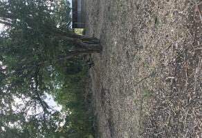Foto de inmueble en Paraje EL CADILLAL, Col. Grande C.P. 71405, Cuilápam de Guerrero