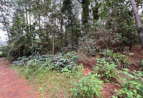 Foto de inmueble en Paraje Mesa de Jaímes, Col. Mesa de Jaimes C.P. 51229, Valle de Bravo