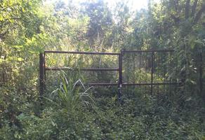 Foto de inmueble en Parcela 11 Has ISENCO, Col. Margaritas C.P. 28047, Colima