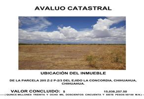 Foto de inmueble en PARCELA 205, Col. La Concordia C.P. 31622, Chihuahua