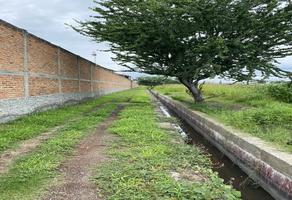 Foto de inmueble en Parcela #280 Z3 P2/2, Col. El Zapote Del Valle C.P. 45672, Tlajomulco de Zúñiga