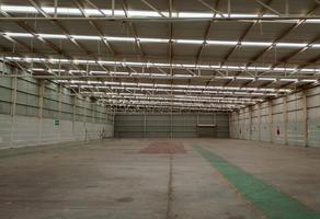 Foto de inmueble en , Col. Parque Industrial Oriente C.P. 27272, Torreón