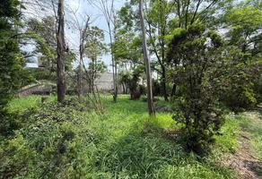 Foto de inmueble en Pelícanos, Col. Lago de Guadalupe C.P. 54760, Cuautitlán Izcalli