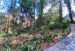 Foto de inmueble en  , Col. Peña Blanca C.P. 51227, Valle de Bravo