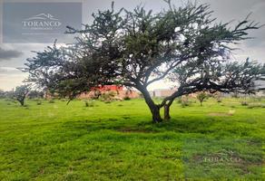 Foto de inmueble en  , Col. Peñuelas C.P. 20340, Aguascalientes