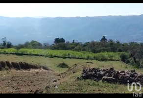 Foto de inmueble en Pie de cerro, Col. San Pablo Coapan C.P. 91400, Naolinco