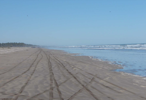 Foto de inmueble en  , Col. Playa Novillero C.P. 63468, Tecuala