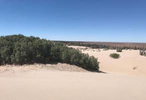 Foto de inmueble en playa sahuimero, Col. Bahía de Kino Centro C.P. 83340, Hermosillo
