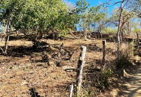 Foto de inmueble en  , Col. Playa Zipolite C.P. 70904, San Pedro Pochutla