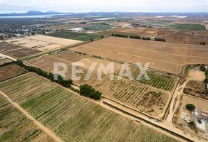 Foto de inmueble en Predio San Simon, Col. San Quintín C.P. 22940, Ensenada