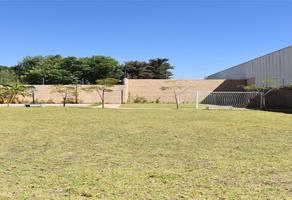 Foto de inmueble en Privada bugambilias, Col. Santa Ana Tepetitlán C.P. 45230, Zapopan