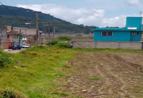 Foto de inmueble en Prolongación Porfirio Díaz, Col. El Coloso C.P. 52307, Tenango del Valle
