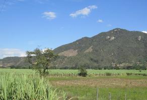 Foto de inmueble en Rancho agricola, Col. Tuxpan Centro C.P. 49800, Tuxpan