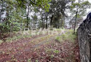 Foto de inmueble en Rancho Cieneguillas, Col. Cieneguillas de González (Cieneguillas) C.P. 51325, Temascaltepec