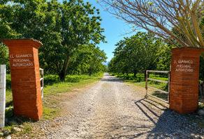 Foto de inmueble en Rancho el guanaco km142, Col. Xicotencatl Centro C.P. 89755, Xicoténcatl