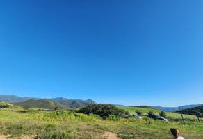 Foto de inmueble en Rancho La Rana Real del Castillo., Col. Gómez Morín C.P. 22842, Ensenada