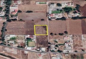 Foto de inmueble en  , Col. Residencial Los Pirules C.P. 56036, Chiautla
