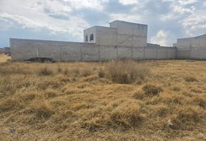 Foto de inmueble en  , Col. Residencial Zinacantepec C.P. 51354, Zinacantepec